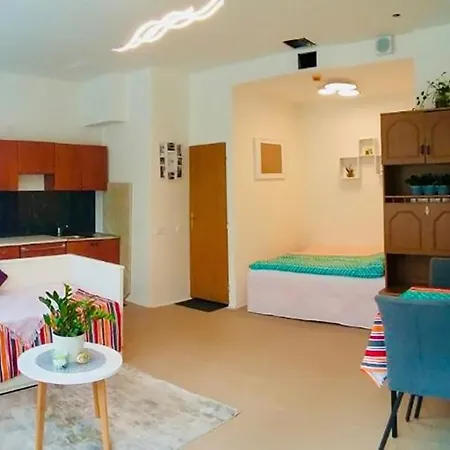 2 L Ground Floor Free Parking 布拉格
